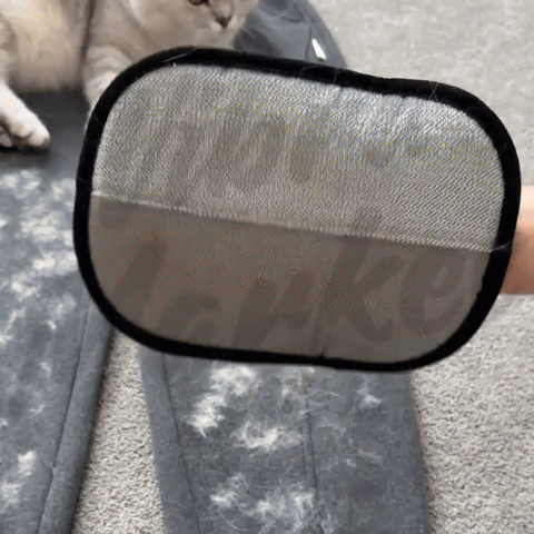 Peludito Clean - Guante para limpiar pelos de mascotas