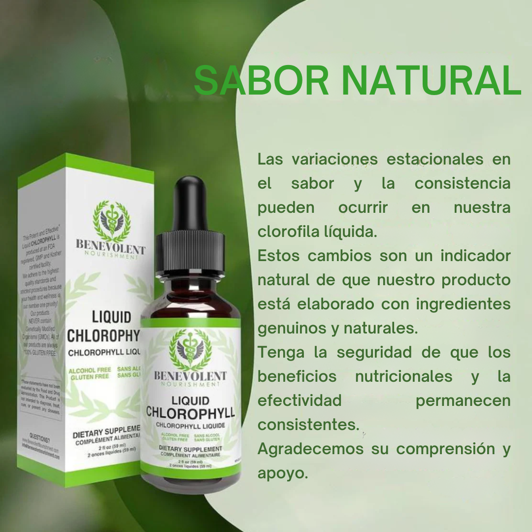 Clorofila Líquida Natural – Tu cuerpo más ligero y fresco desde adentro