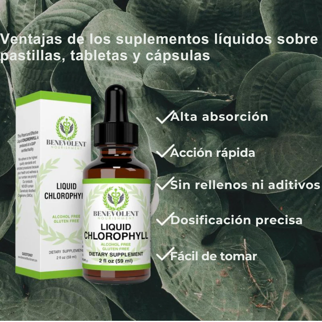 Clorofila Líquida Natural – Tu cuerpo más ligero y fresco desde adentro