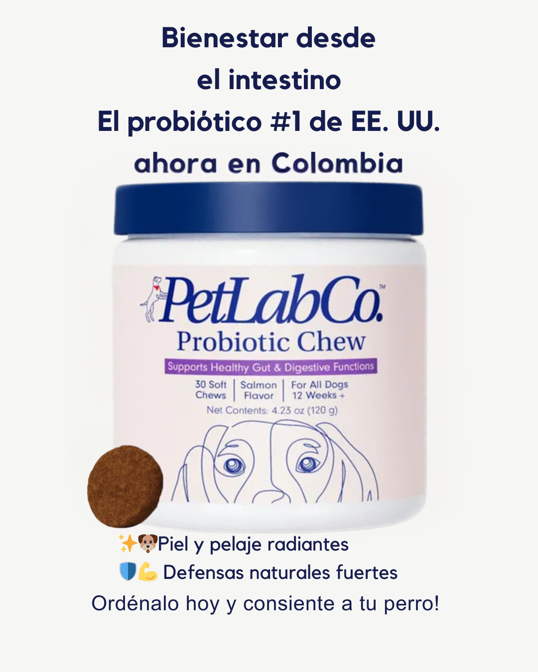 El masticable probiótico blando para perros con respaldo científico